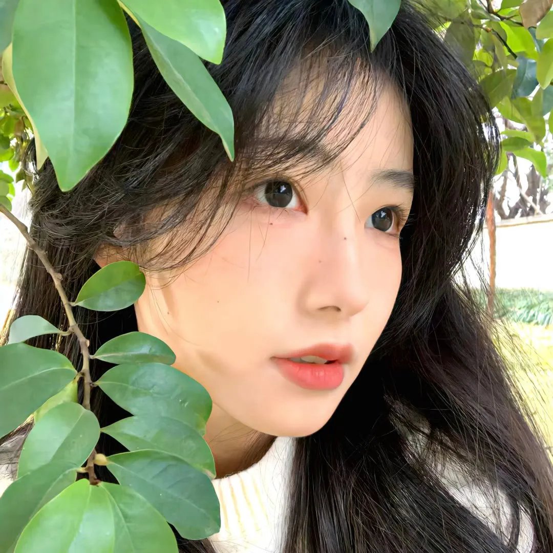 如果我的田野会说话