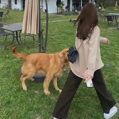 心慌方·零